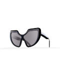 Circumstellar Model 1. Black
