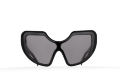 Circumstellar Model 1. Black